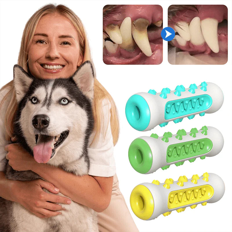 DentaPet® | Fjern plakk og frisk opp pusten til kjæledyret ditt på en enkel måte!