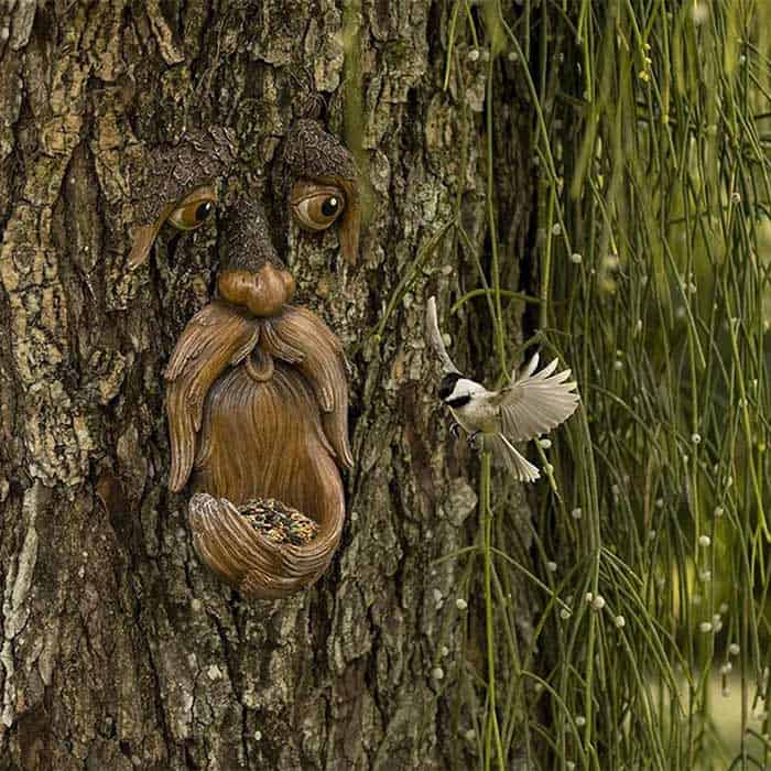 Ett unikt tillskott till din trädgård