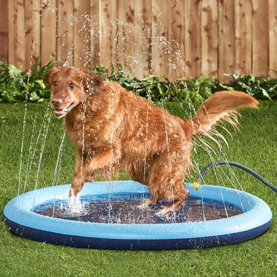 AquaTass™ – Sommarens roligaste svalka för din fyrbenta vän!