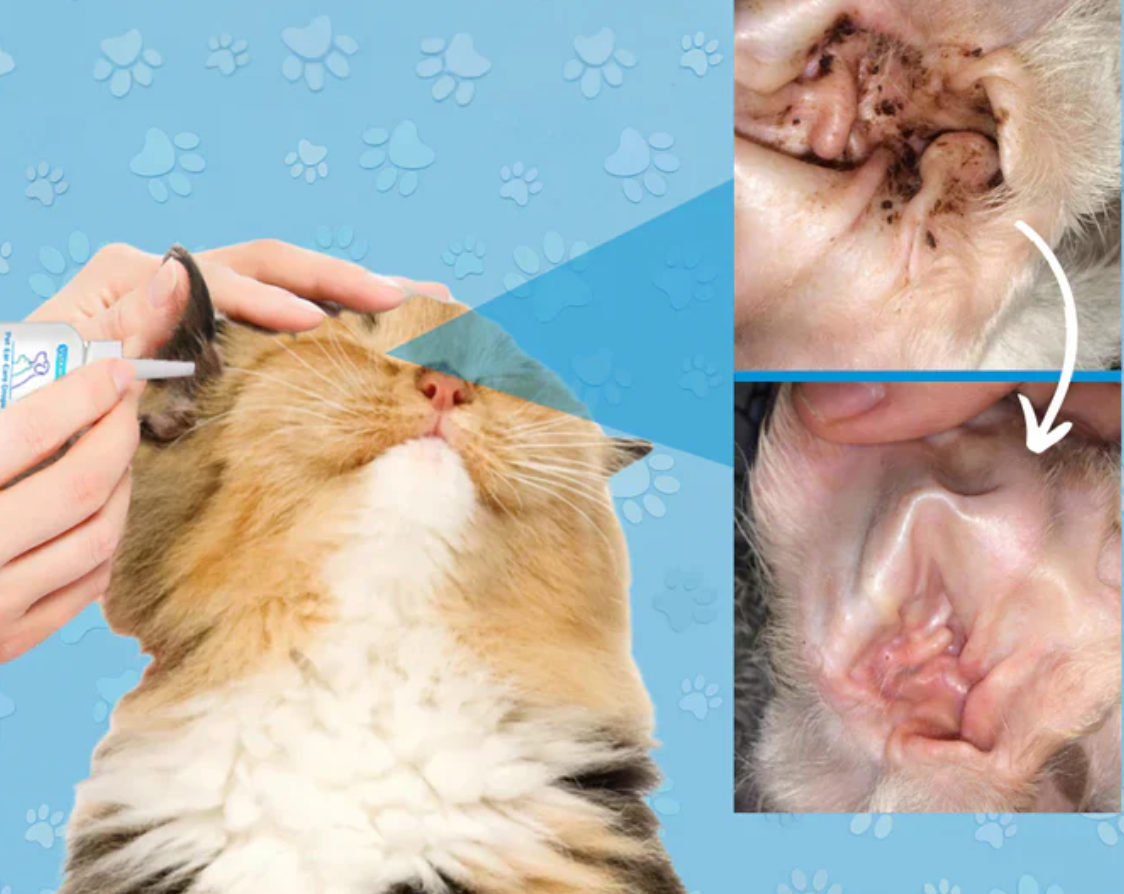 Øredråper for kjæledyr