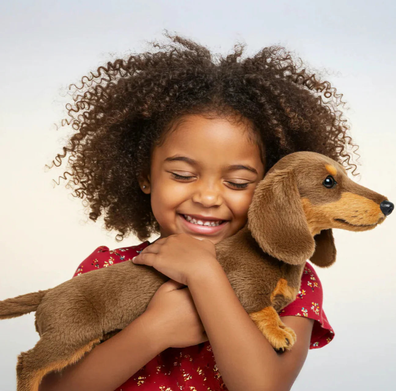 Møt Dachy™ 2.0 – din nye beste venn