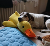 WookyZen™ – Ge din hund trygghet när du inte kan vara där