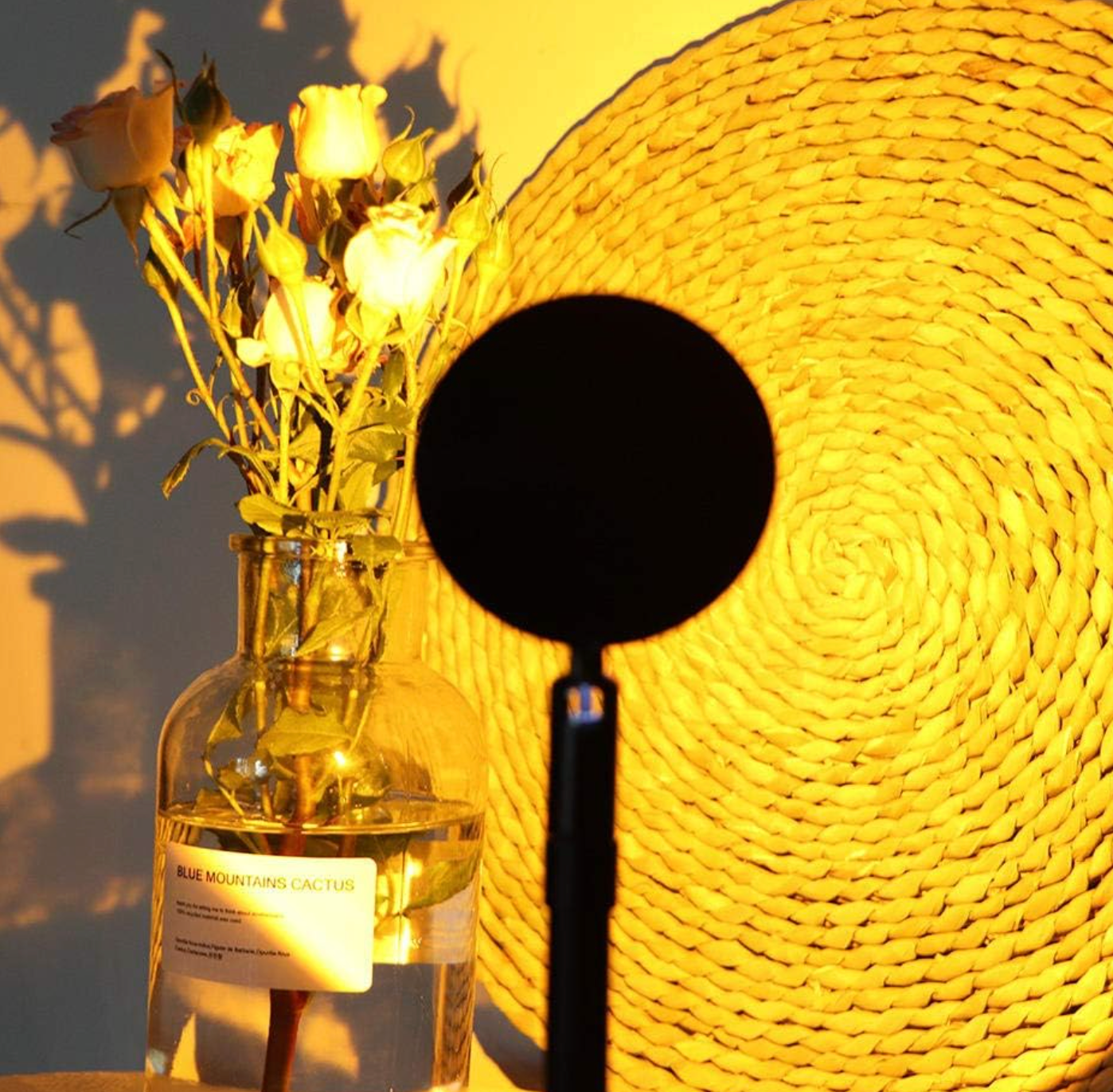 Fall Sunset Lamp – Magin av solnedgångar, året runt 🌅