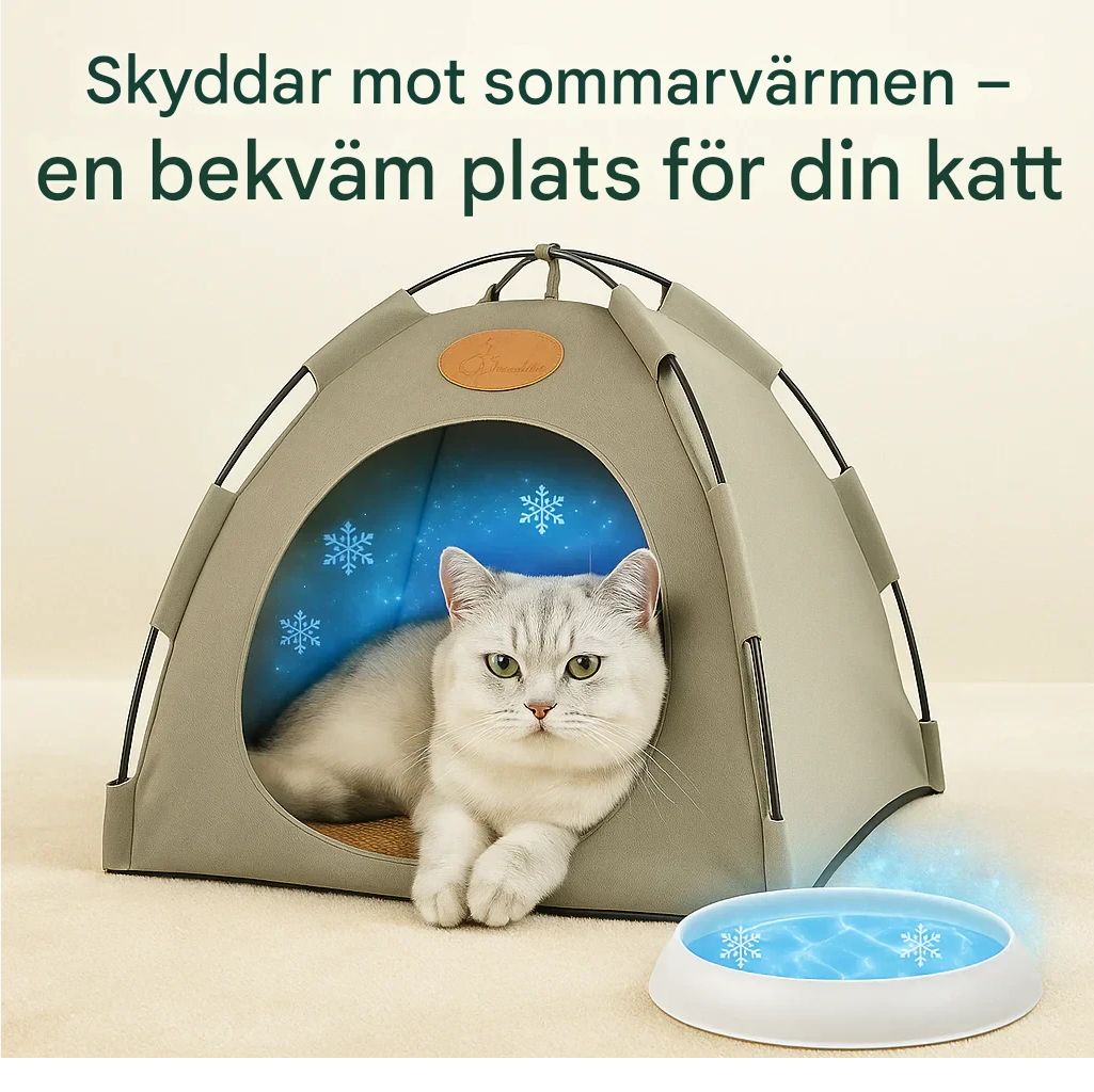 Premium kyligt tält för katter